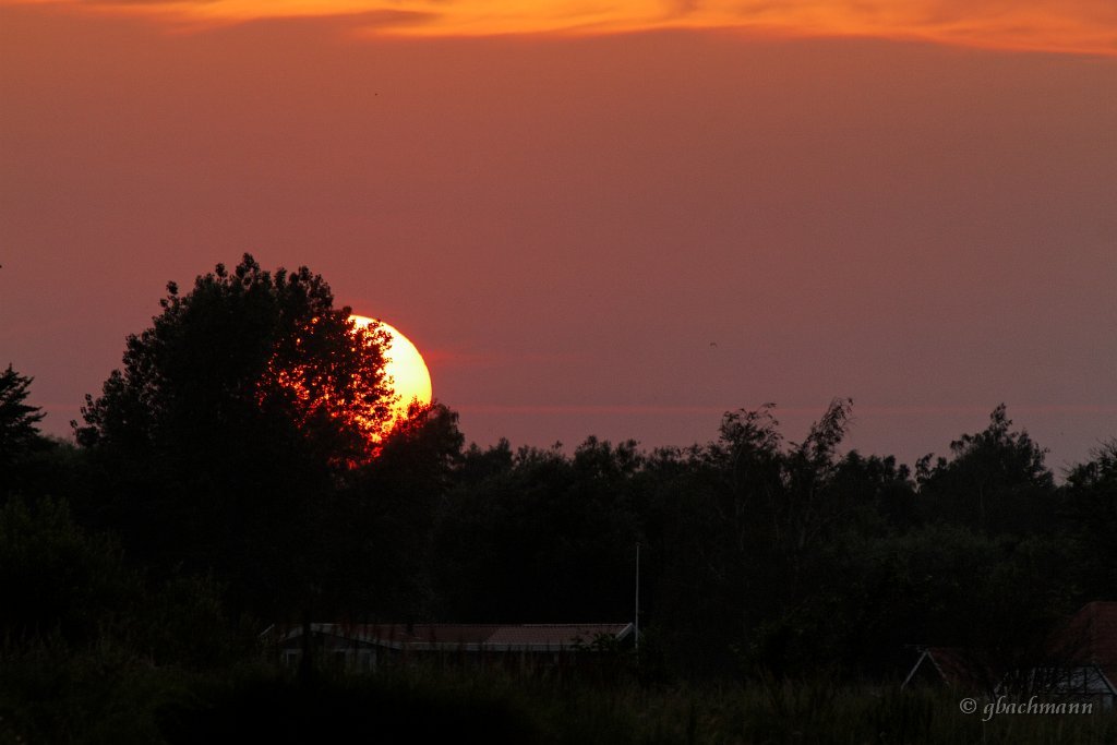 20100711_0080